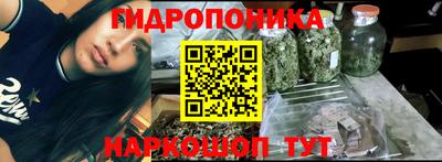 мдма Гусев