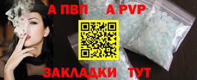 прущие грибы Гусиноозёрск