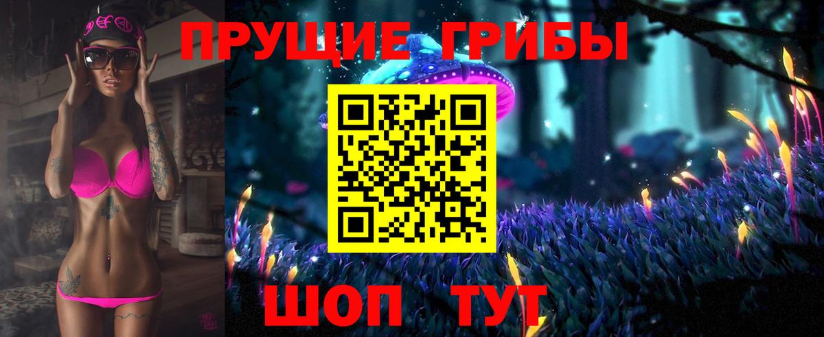 Елец  Галлюциногенные грибы Psilocybine cubensis  Галлюциногенные грибы Psilocybine cubensis  Вход с VPN 